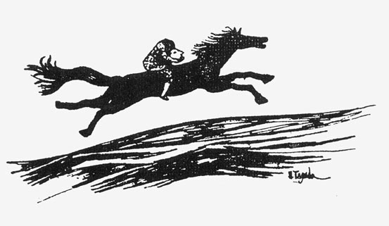 Javier Tafur González